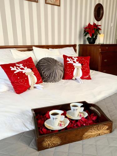 LAS SŁUPSKI PREMIUM LOVE APARTAMENT NR5 Wifi Netflix Smart TV50 full kitchen double bathtub up to 4 people full pleasure quality stay