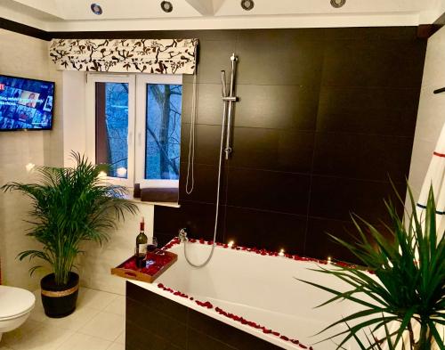 LAS SŁUPSKI PREMIUM LOVE APARTAMENT NR5 Wifi Netflix Smart TV50 full kitchen double bathtub up to 4 people full pleasure quality stay