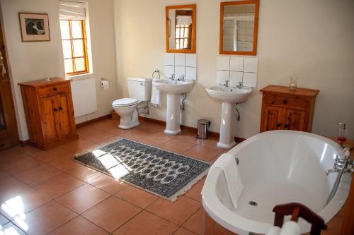 浴室, Steynshoop Mountain Lodge (Hotel) in 馬加利斯堡