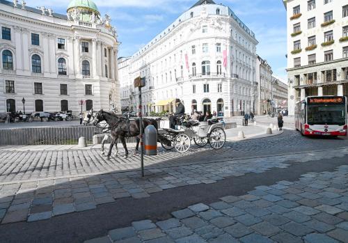 Delightful Suite Hofburg - image 12