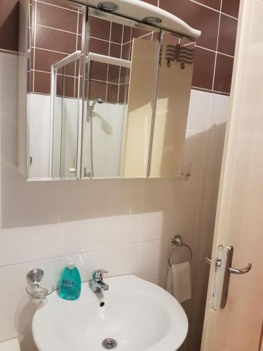 Apartman Vasic - image 3