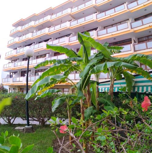Apartamentos Australia - image 12