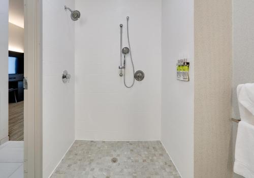 Deluxe Suite - Mobility Access Roll in Shower/Non-Smoking