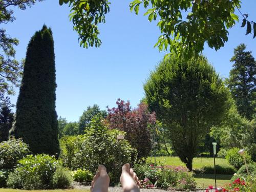 Garden, Ferienhaus Mahlertsmuhle in Hofbieber