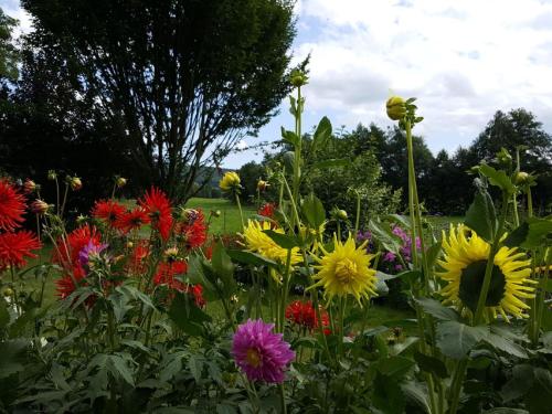 Garden, Ferienhaus Mahlertsmuhle in Hofbieber