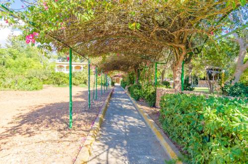 Finca Son Pou - image 8
