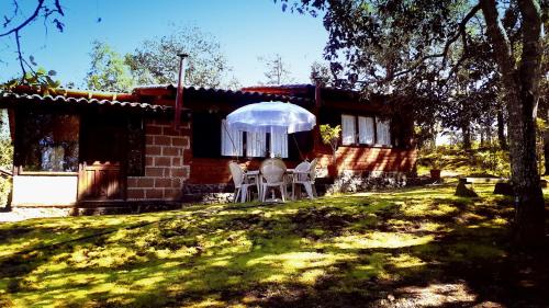 Cabaña en medio del bosque ZA in Acaxochitlán, Mexico