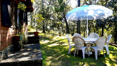 Cabaña en medio del bosque ZA in Acaxochitlán, Mexico