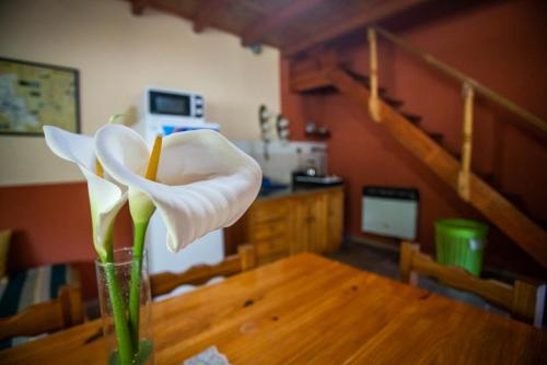 Konyha, Cabanas Trancas y Barrancas in Rio Ceballos