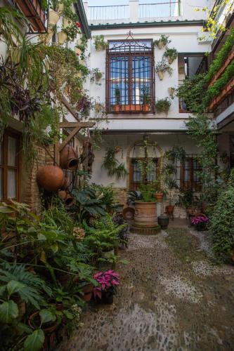 La Sultana Apartamentos, Cordoue (photo 9)
