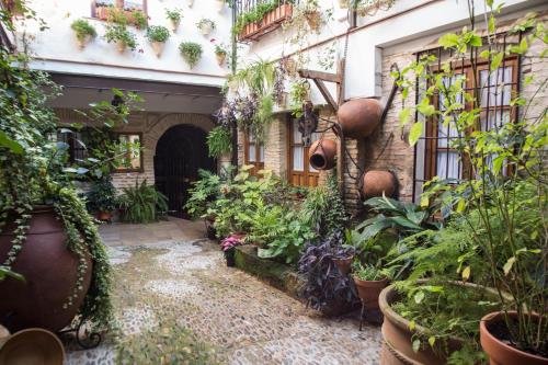 La Sultana Apartamentos, Cordoue (photo 10)