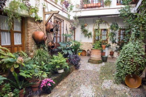 La Sultana Apartamentos, Cordoue (photo 11)