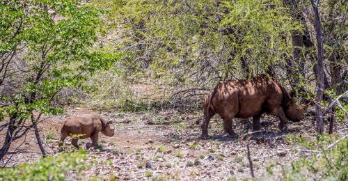 格鲁特贝格山林小屋 格鲁特贝格山林小屋