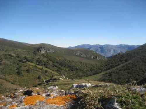 Apartamentos Valdecarzana " Braña El Tronco Senda del Oso"