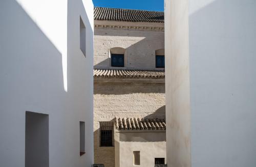 Le Petit Palü Sevilla, Seville (photo 10)