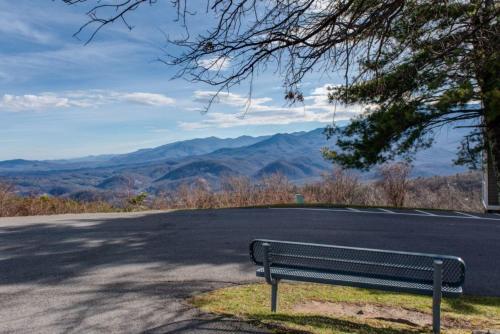 Smoky Mountains 2BR Amazing Condo - image 37