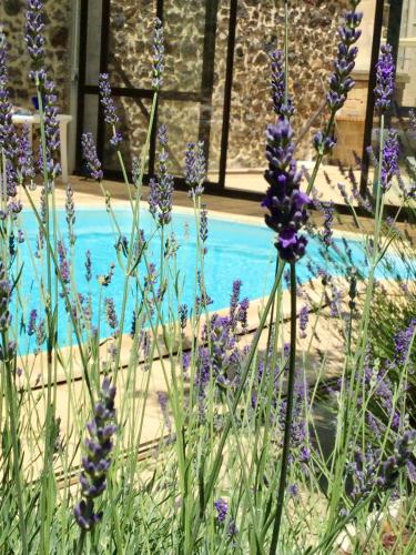 Appartement de 2 chambres avec vue sur la ville piscine partagee et jardin clos a Marseillan a 6 km  in Marseillan (Herault)