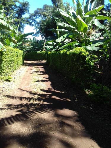 สวน, Inviting 2-Bed House Komakundi Rural Kilimanjaro in มารังกู