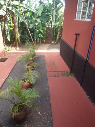 บริการและสิ่งอำนวยความสะดวก, Inviting 2-Bed House Komakundi Rural Kilimanjaro in มารังกู