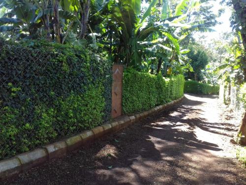 บริการและสิ่งอำนวยความสะดวก, Inviting 2-Bed House Komakundi Rural Kilimanjaro in มารังกู