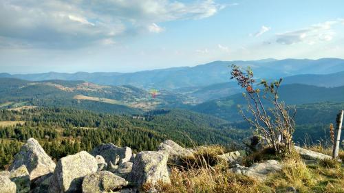 Appartement de 2 chambres avec jardin amenage et wifi a Soultzeren a 3 km des pistes