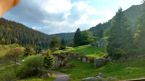 Appartement de 2 chambres avec jardin amenage et wifi a Soultzeren a 3 km des pistes