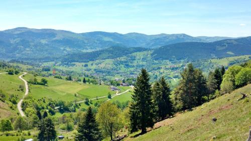 Appartement de 2 chambres avec jardin amenage et wifi a Soultzeren a 3 km des pistes