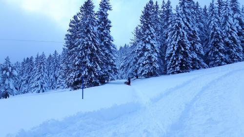 Appartement de 2 chambres avec jardin amenage et wifi a Soultzeren a 3 km des pistes