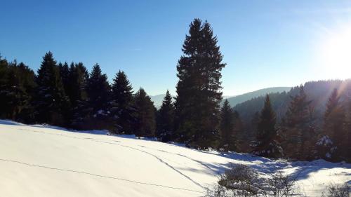 Appartement de 2 chambres avec jardin amenage et wifi a Soultzeren a 3 km des pistes