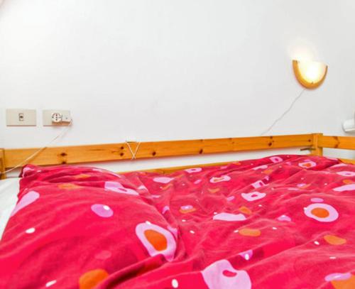 Studio in Roma with enclosed garden and WiFi - image 8