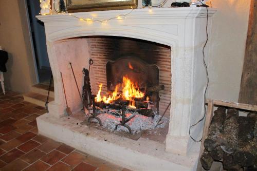 House with 3 bedrooms in Monestier with private pool furnished garden and WiFi - image 14