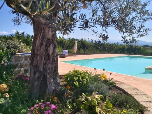 8 bedrooms villa with private pool enclosed garden and wifi at Segni