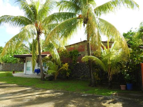 Studio avec piscine partagee jardin et wifi a Le Robert - Location saisonnière - Le Robert