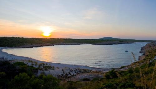 Apartamentos Posidonia