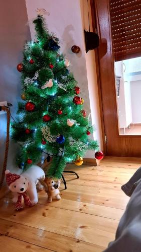 Oli's apartment - image 11