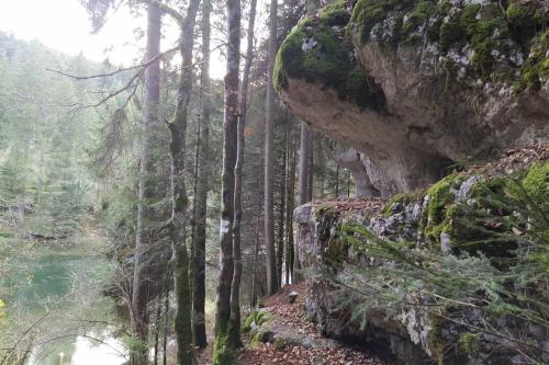 Gîte du Fourpéret-Parc Naturel du Haut-Jura