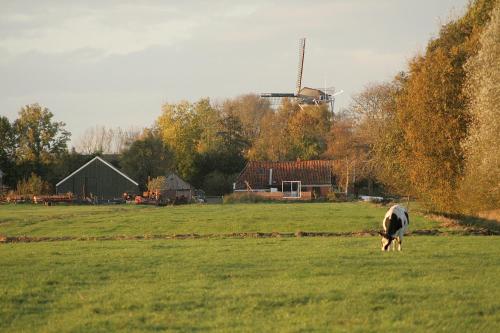 Aan het Diepje