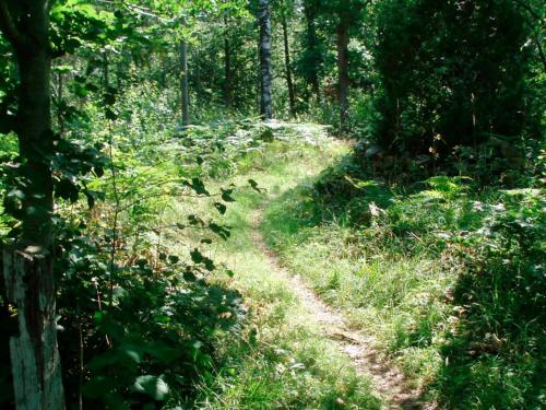 Two-Bedroom Holiday home in Hallabro 3 - image 14