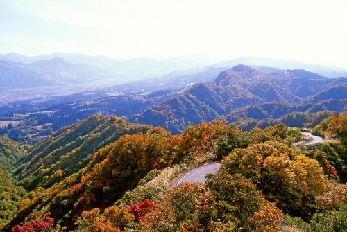 Pension Oz - 주변 환경