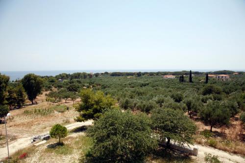  Andriani-Michalis Studios in Vasilikos