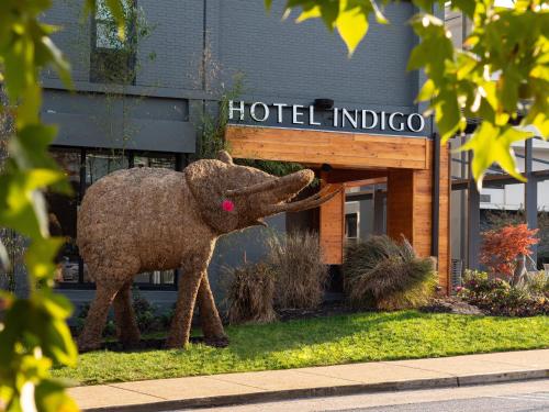 Hotel Indigo Chattanooga - Downtown, an IHG hotel - Chattanooga