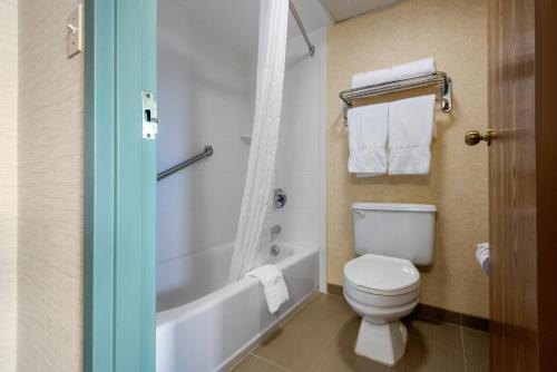 Quality Inn & Suites - image 11