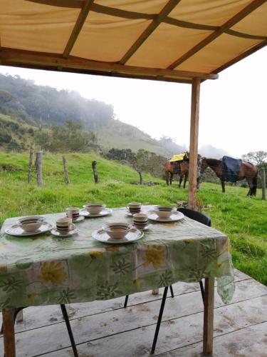 Birdglamping Los Arboles Hotel