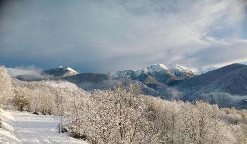 Chalets "les gentianes"