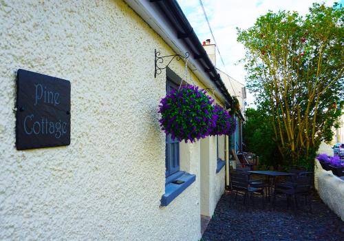 Staycation at Pine Cottage, a newly refurbished holiday cottage