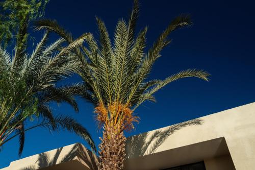 278888361 Sirayane Boutique Hotel & Spa Marrakech