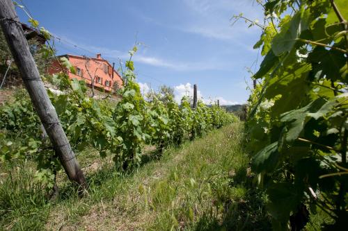 Agriturismo La Burlanda