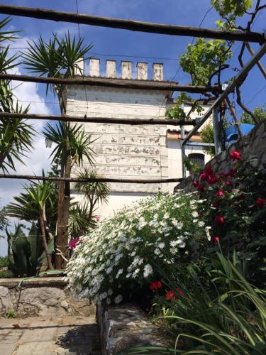 La Torretta Bianca 4