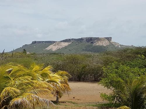 Sabana Cras barikahel