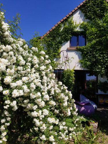 chambre d'hôtes de charme, un temps en forêt - Accommodation - Westhouse